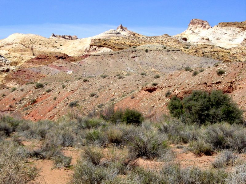 04160302LittleWildHorse (1010)